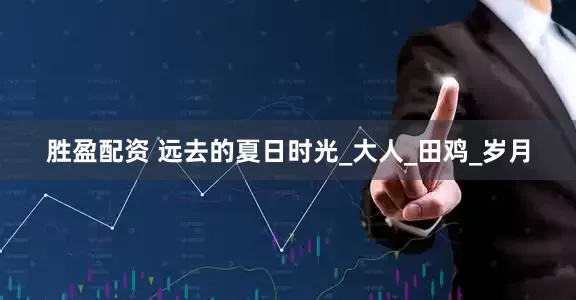 胜盈配资 远去的夏日时光_大人_田鸡_岁月